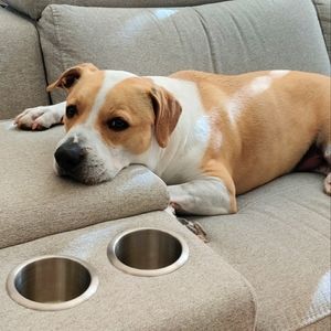 Meet your Posher, Dd